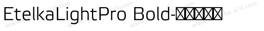 EtelkaLightPro Bold字体转换